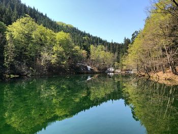 Scenic view of lake in forest against sky