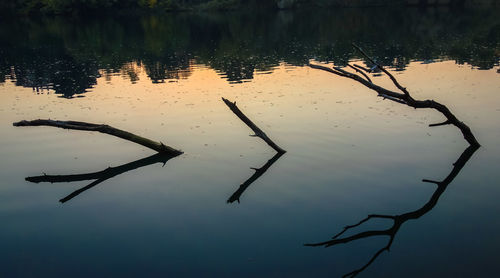 Reflection of bare tree in lake against sky