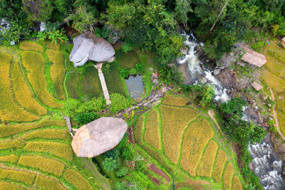 Aerial view of stream flowing amidst farm