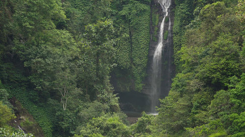 Beautiful tropical waterfall. bali,indonesia.