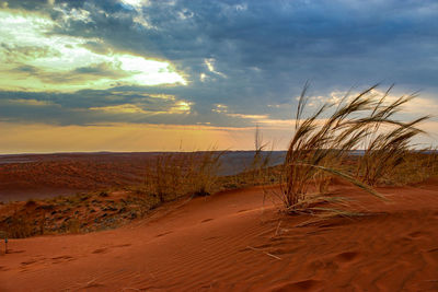 Scenic view of desert against sky during sunset