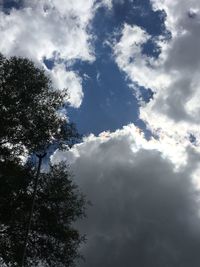 Low angle view of trees against sky