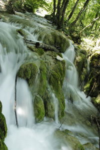 Stream flowing through rocks in forest