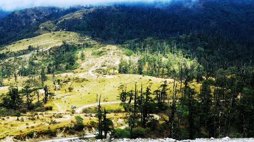 Scenic view of farm against trees