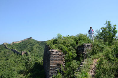 Man standing amidst trees against clear blue sky