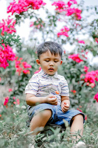 Low angle view of boy sitting on flowering plants