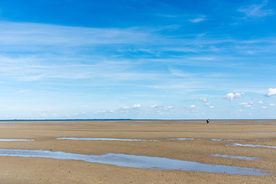 Scenic view of beach against blue sky