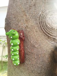 Close-up of frog on tree trunk