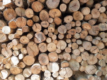 Full frame shot of logs in forest