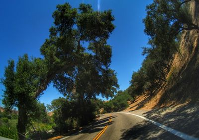Empty road with trees in background