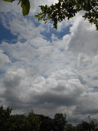 Low angle view of trees against cloudy sky