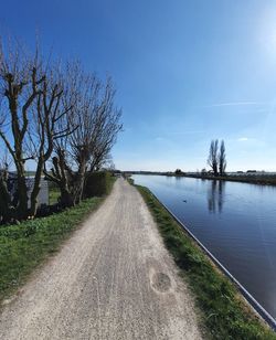Empty road along plants and trees against sky