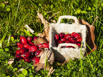 Close-up of strawberries in basket