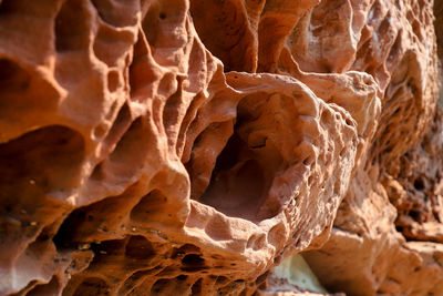 Detail shot of rock