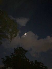 Low angle view of silhouette trees against sky at night