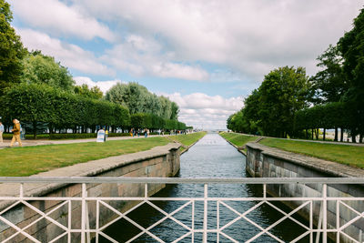 Rear view of woman walking on footbridge against trees