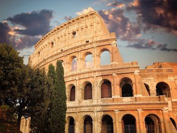 Trees and coliseum against sky