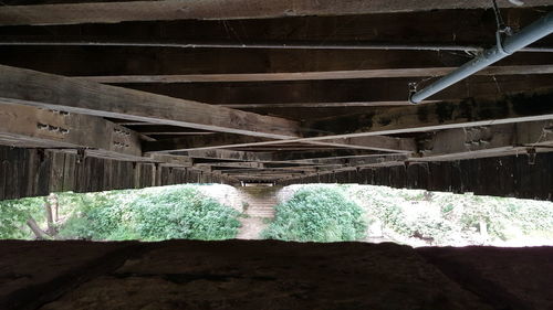 Bridge over sea