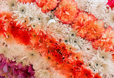 Chrysanthemum flower and carnation flower on backdrop background