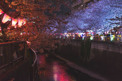 Illuminated trees against sky at night