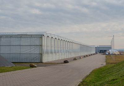 Greenhouse for growing vegetables such as tomatoes and peppers