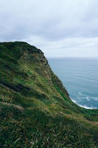 The cliff in the coast