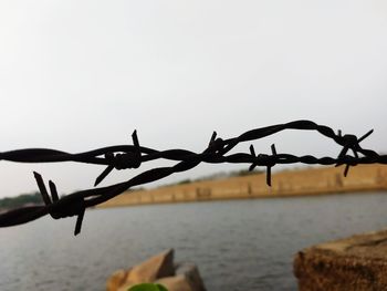 Close-up of barbed wire against clear sky