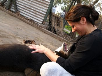 Side view of smiling mid adult woman playing with dog in walkway