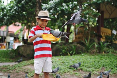Cute boy feeding pigeons in park
