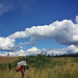 Rear view of man on field against sky