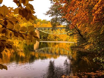 Reflection of trees in river