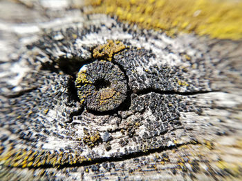 Full frame shot of rusty metal on wood