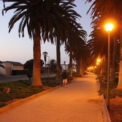 Empty road at sunset