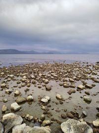 Rocks on beach against sky