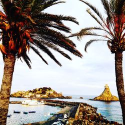 Palm trees on beach against sky