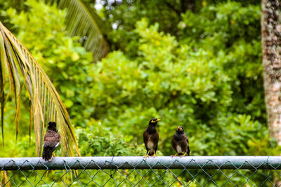 Group of people in forest