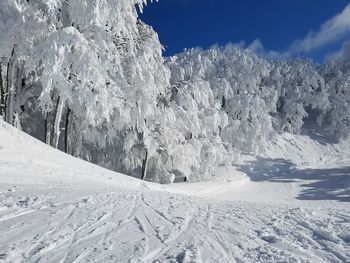 Snow covered landscape against sky