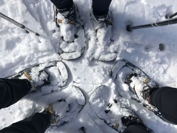 Low section of person skiing on snow covered field