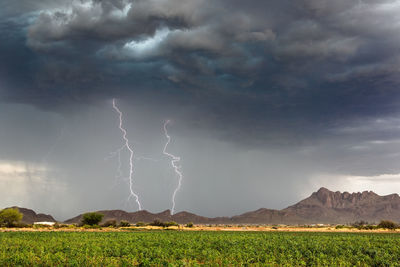 Lightning bolts strike from a powerful, monsoon thunderstorm near tucson, arizona.