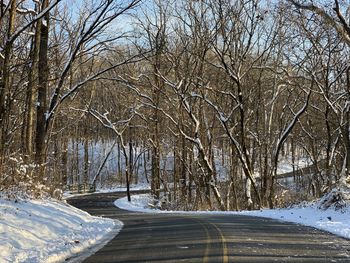 Road amidst bare trees during winter