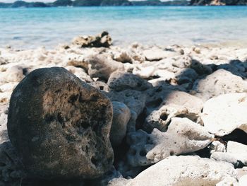 Close-up of sand at beach