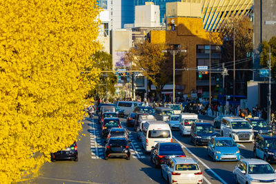 mode of transportation