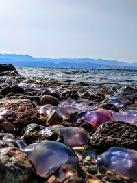Rocks on beach against sky