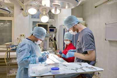 Veterinary surgeons make surgery for dog in the operating room of a veterinary clinic. 