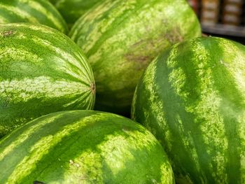 Full frame shot of  watermelon