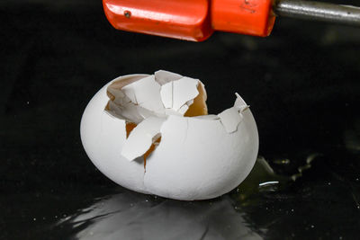 High angle view of white rose floating in water