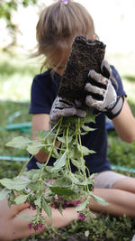 Growing a garden in spring