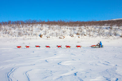 Scenic view of field against sky during winter