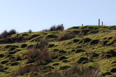 Scenic view of land against clear sky