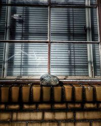 Close-up of water on window